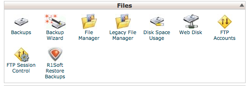 File Manager